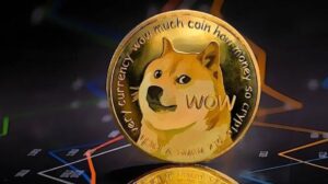 Dogecoin's Remarkable Surge: Large Transaction Volume Spikes 41% as Network Activity Intensifies